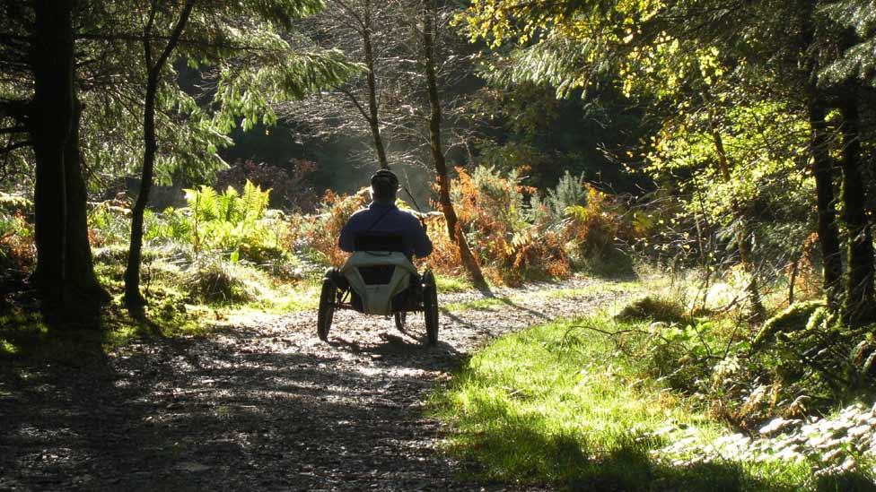 A hand-cyclist in Coed y Brenin, Gwynedd