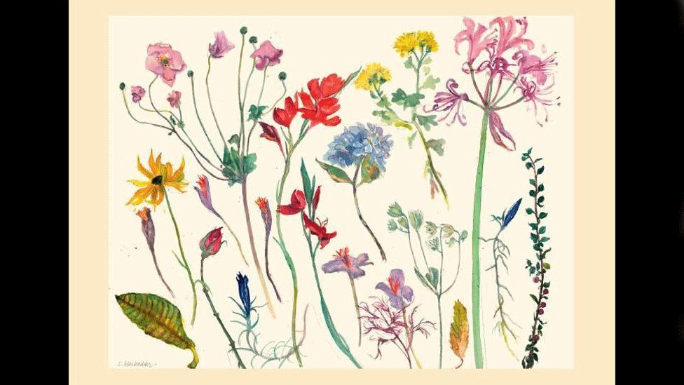 A painting of flowers and plants by Dame Elizabeth Blackadder