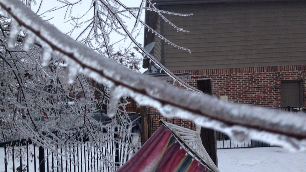 A frozen branch runs diagonally across the picture. A hammock with snow on and frozen trees are behind.