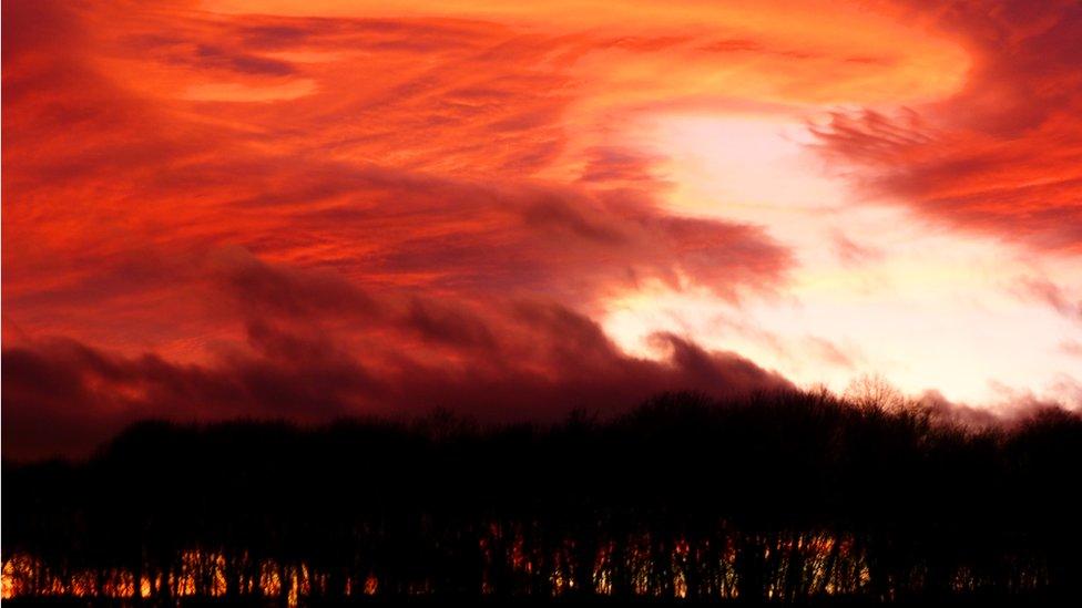A cloudy orange-red-yellow sky. Below are dark trees.