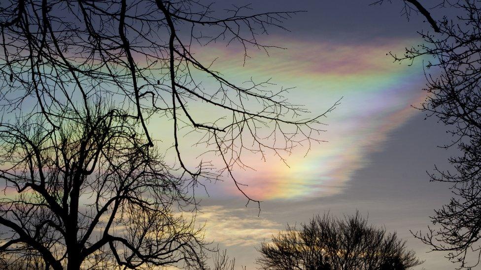 A mother of pearl like colour pattern in the sky. Tree branches in the foreground.