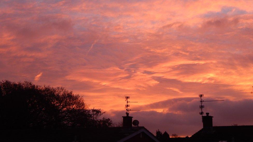 A light pink cloudy sky. Rooftops and trees below.
