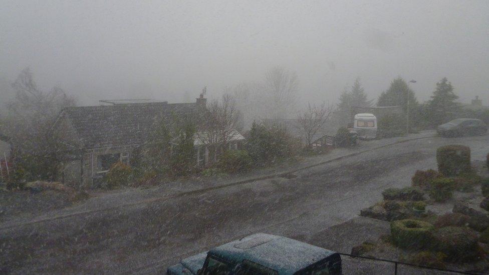 Snow coming down quickly on a residential road. A grey mist surrounds the scene.