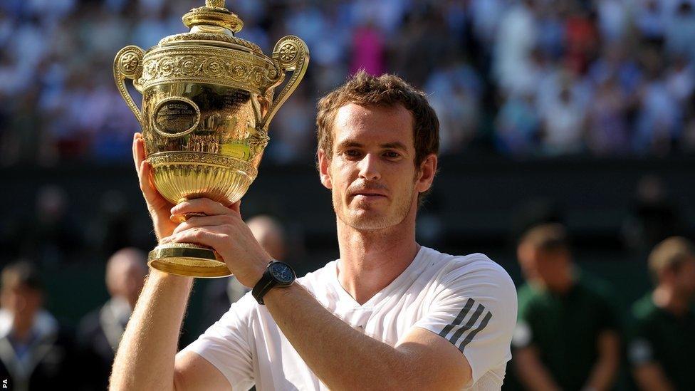 Andy Murray wins Wimbledon