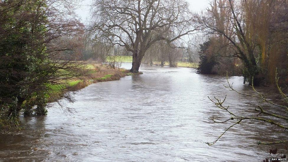 River Test at Romsey