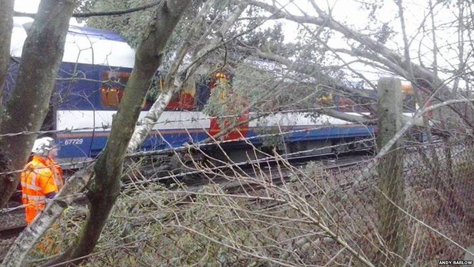 Tree on a train at Lambourne Gardens, Earley