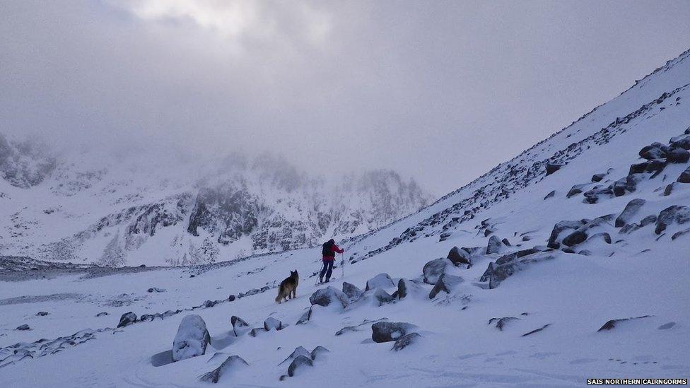 Cross country skier in Northern Cairngorms