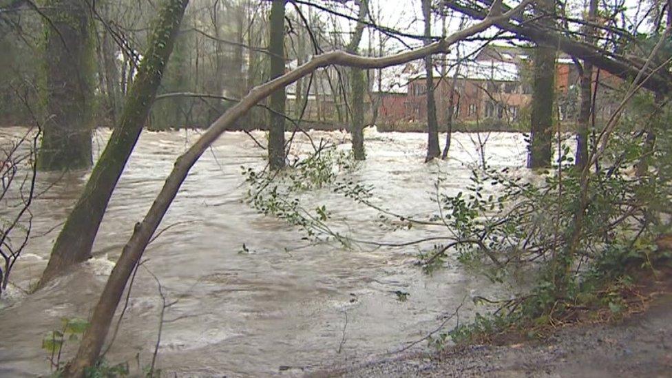 The River Dart in Devon