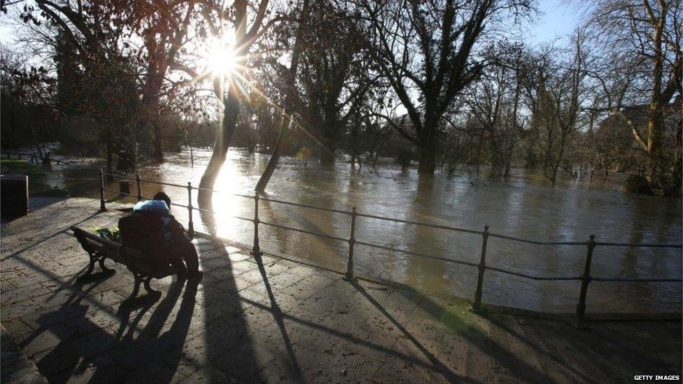 A person sits on a bench overlooking a flooded area of woodland in sunny weather