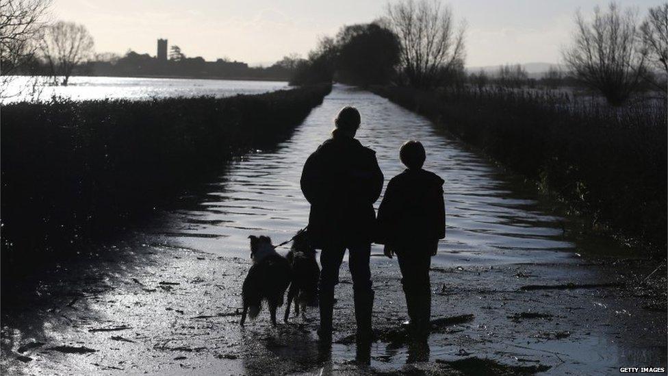 Two people and two dogs stand on a flooded path under clear skies