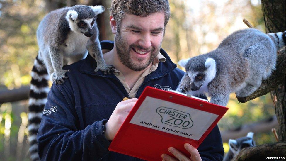 Keeper and lemurs