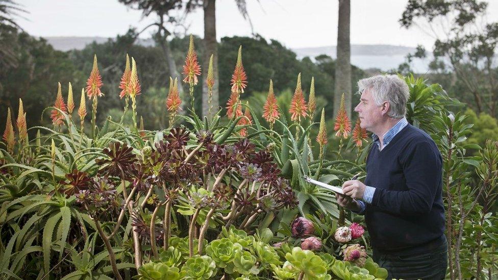 Flower count, Tresco Abbey Gardens, January 2014