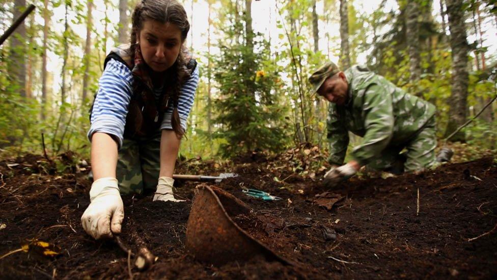 Diggers at work in a forest