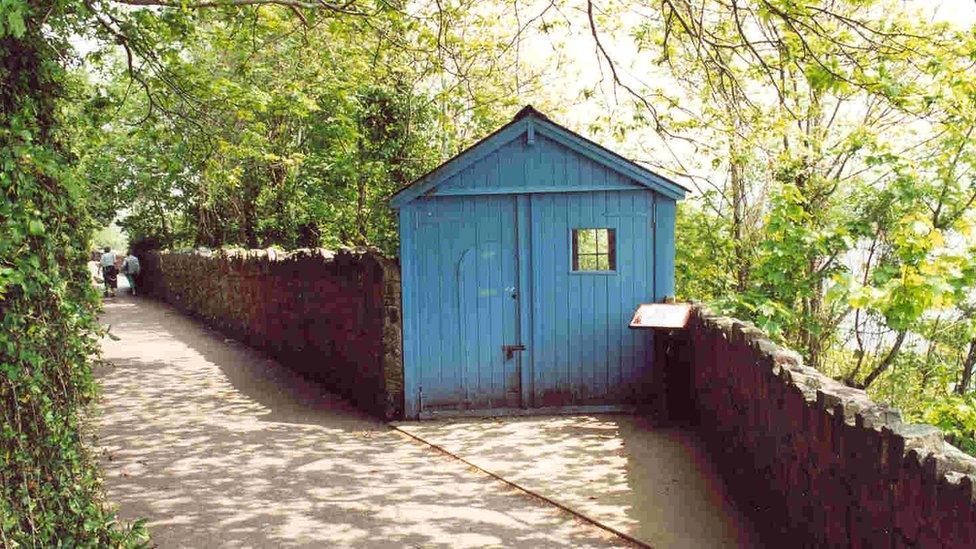 The shed