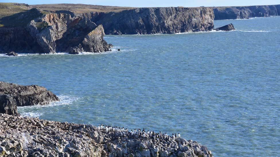 Stack Rocks, Pembrokeshire