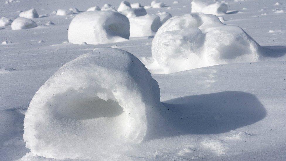 Snow rollers in field.