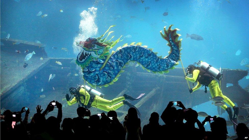 Divers carry a man-made dragon, as part of Chinese New Year dragon blessings, wishing all their guests boundless energy in the Year of the Horse, at the South East Asia Aquarium at Resorts World Sentosa in Singapore