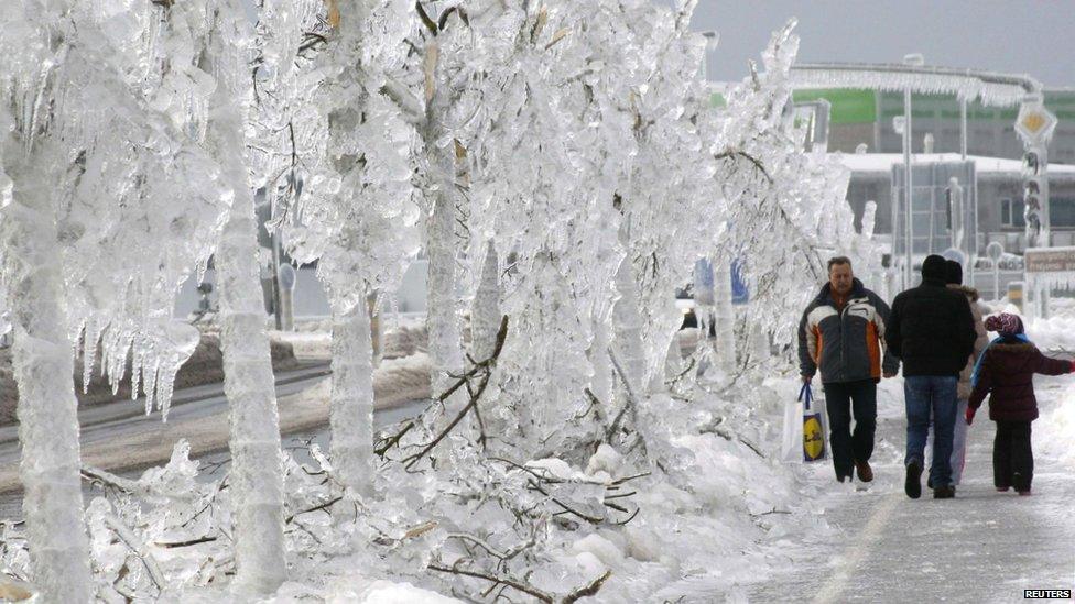 People walk next to trees covered with ice
