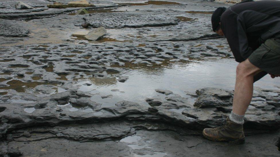 Earliest footprints