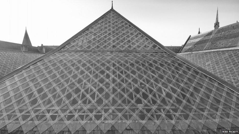 Oxford's Museum of Natural History roof