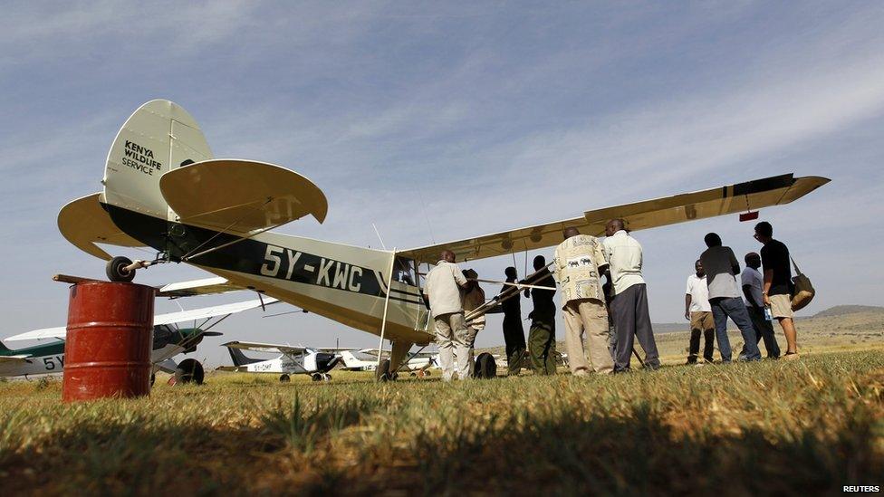 Aeroplane used to count elephants in Kenya