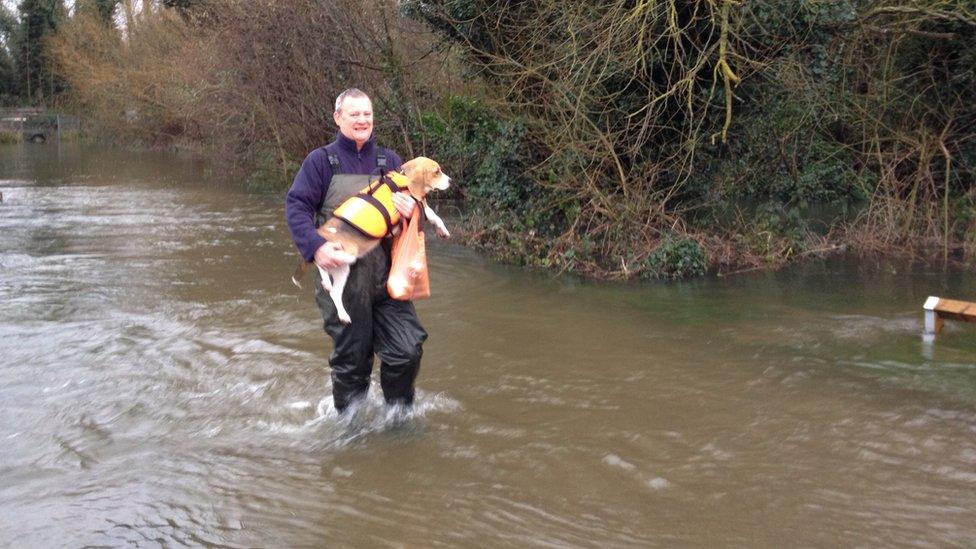 Man carrying his dog through a flooded street