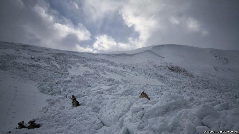 An avalanche risk forecaster's dogs among blocks of avalanche debris in the Southern Cairngorms