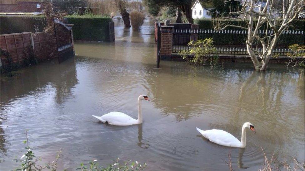 Aaron Singh's home in Wraysbury, Middlesex