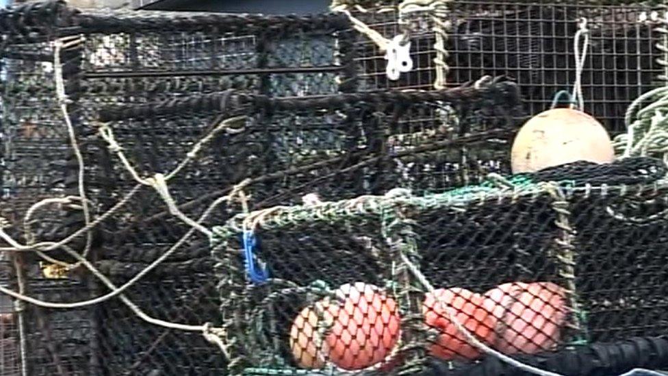 Fishing nets and cages