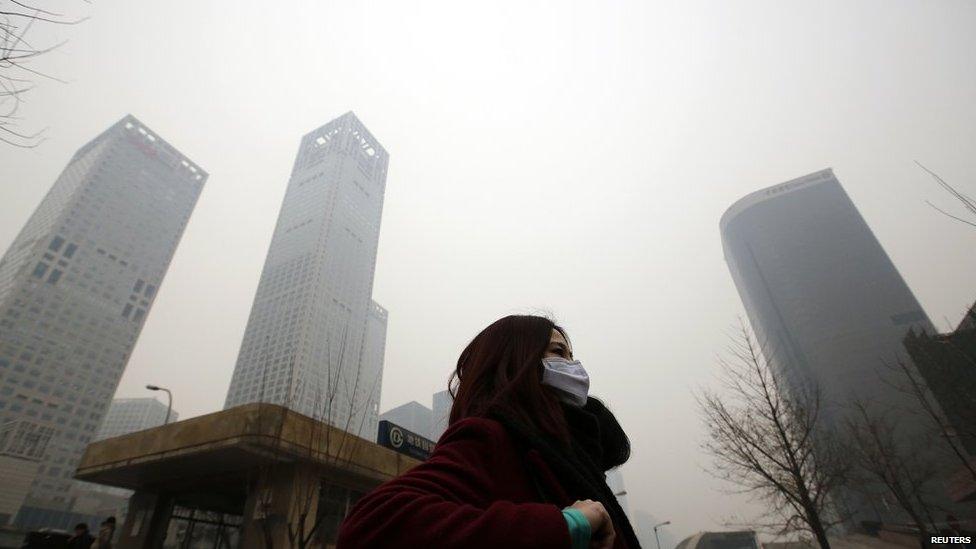 A woman wearing a mask makes her way amid the heavy haze in Beijing on 23 February 2014