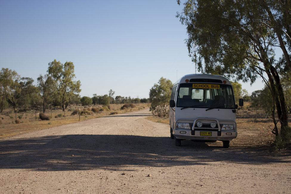 School bus in shade