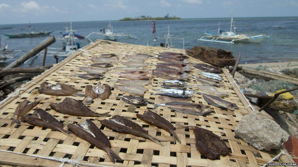 Fish being dried on Bantayan Island