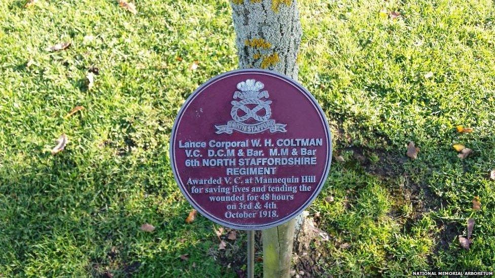 A tree planted for William Coltman