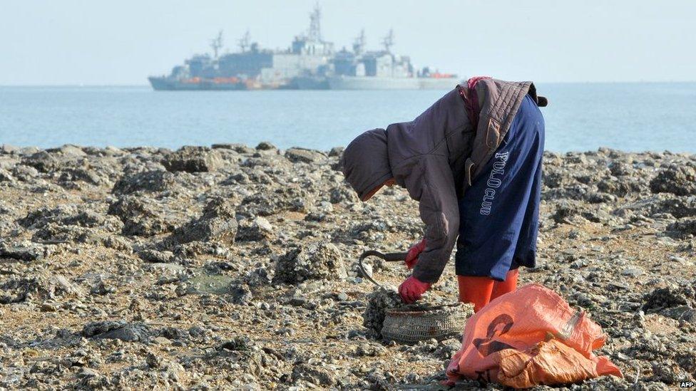 A resident gathers oyster as a South Korean Navy vessel floats in the background at the South Korea-controlled island of Yeonpyeong near the disputed waters of the Yellow Sea on 22 December, 2010