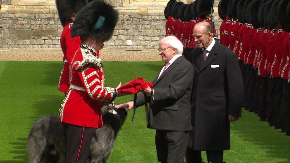 Michael D Higgins hands a ceremonial coat for a dog to a soldier as he strokes an Irish wolfhound