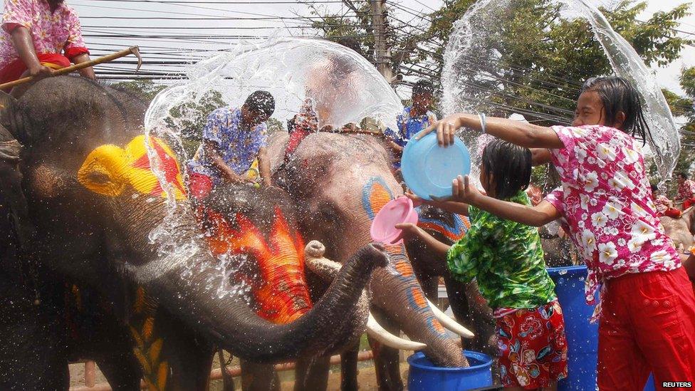 Children splash elephants with water