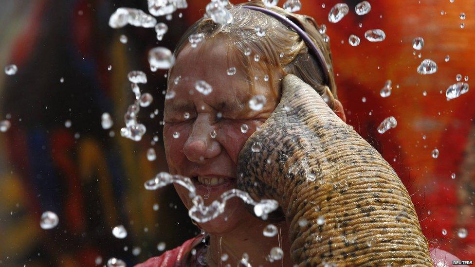 Girl gets splashed with water from an elephant