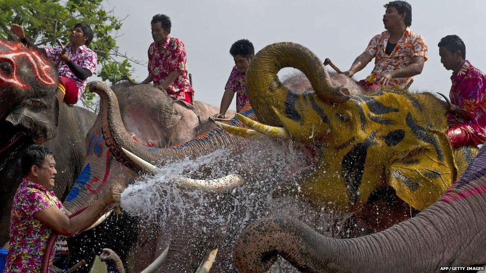 Men and elephants in water fight