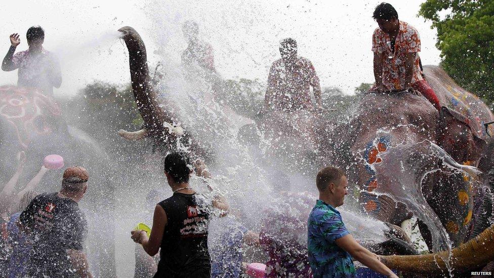 Elephants spray water