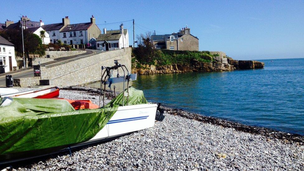 Carole Lynes's springtime view of Moelfre on Anglesey