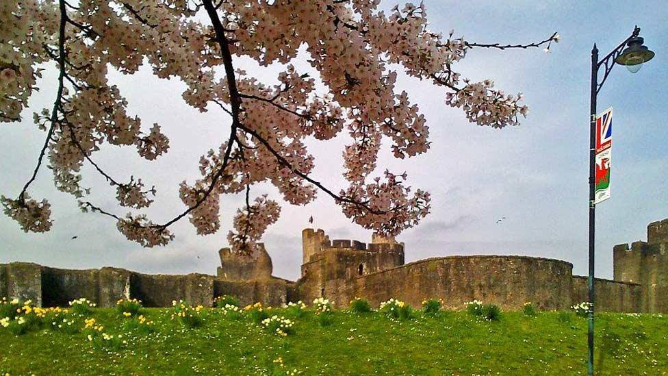 Caerphilly castle