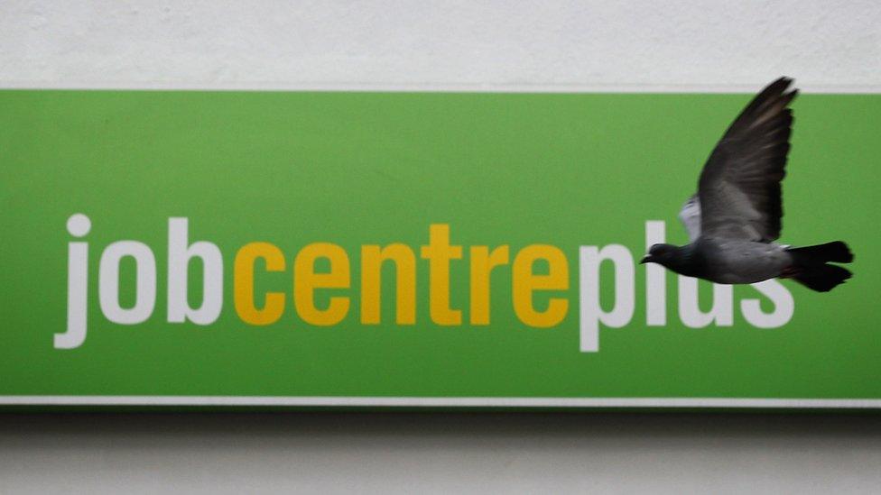 Pigeon flies past job centre sign