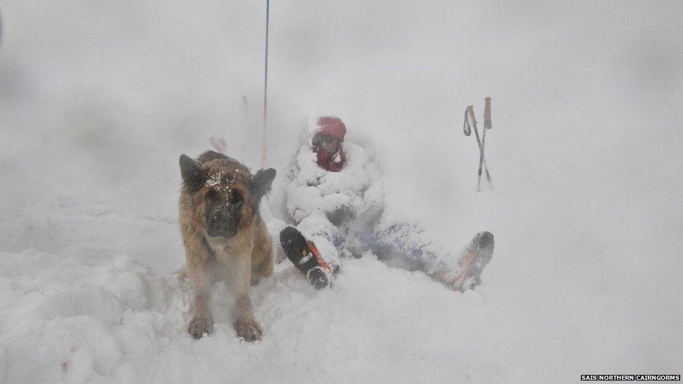 SAIS forecaster and dog in snow