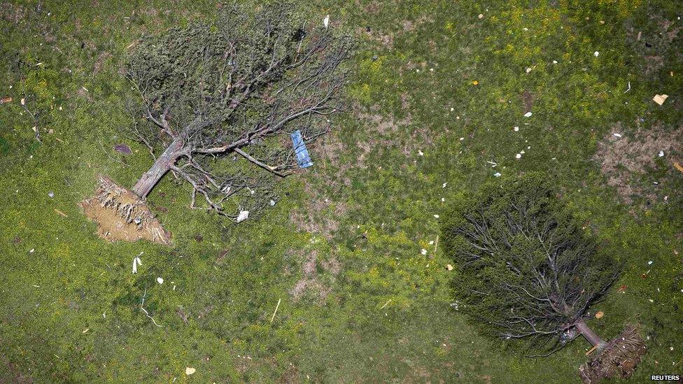 Uprooted trees after a tornado hit Vilonia, Arkansas on 28 April 2014.