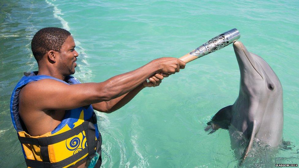 A man holds the Queen's Baton above water as a dolphin touches it with its snout.