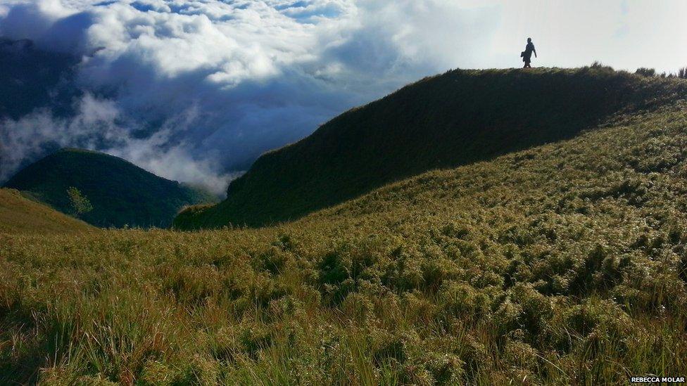 Near Mount Pulag