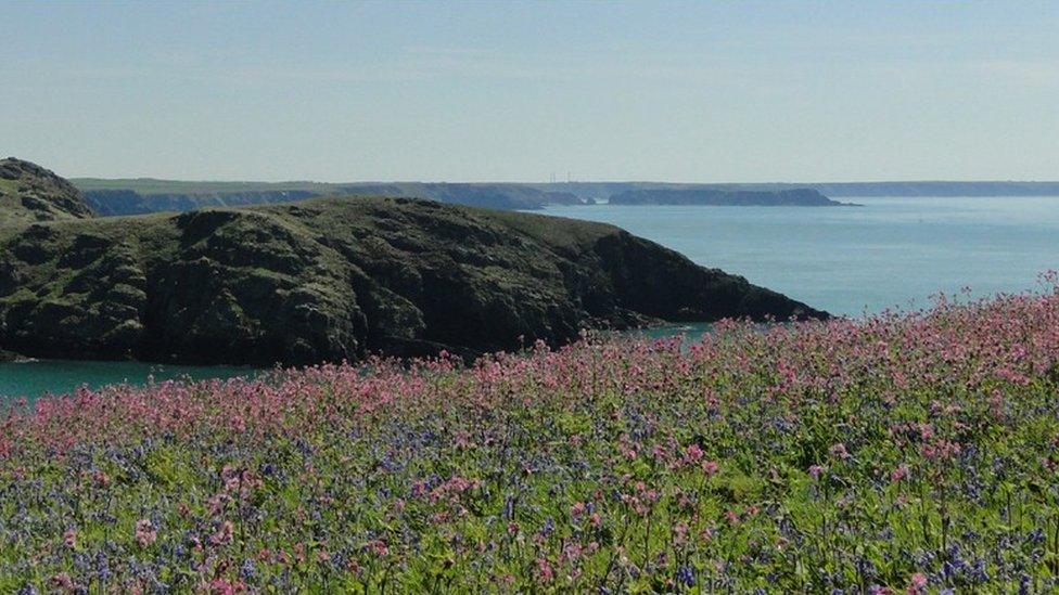 Skomer