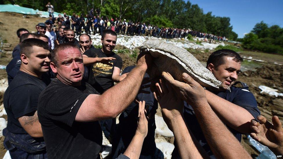 Volunteers and police pass sandbags to reinforce bank of River Sava near Sabac, west of Belgrade. 19 May 2014