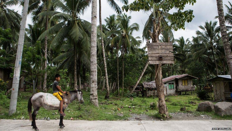 A boy on a horse next to a makeshift basketball net