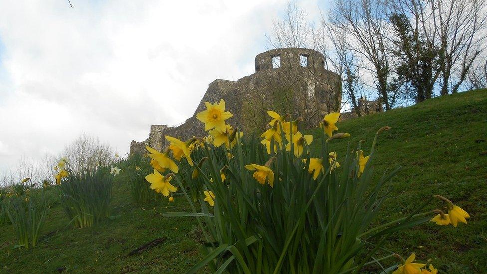 Old Dinefwr Castle